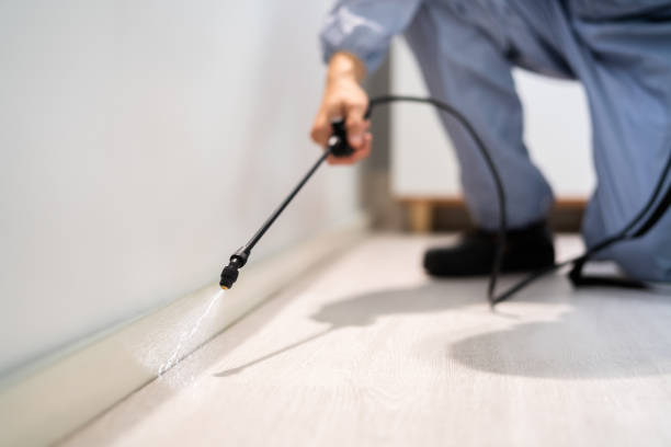 Licensed Rodent Control service in Wrightsboro, NC - Nex Pest Control