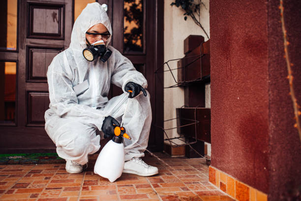 Reliable Rodent Control contractor in Wrightsboro, NC by Nex Pest Control