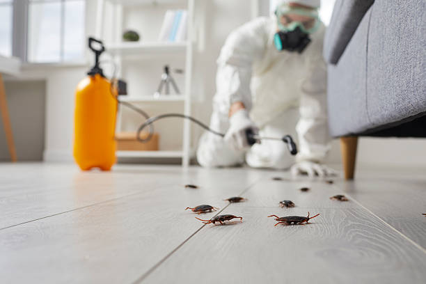 Trusted Termite Control service in Wrightsboro, NC - Nex Pest Control